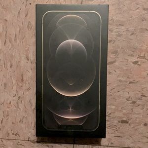 Apple iPhone 12 Pro max